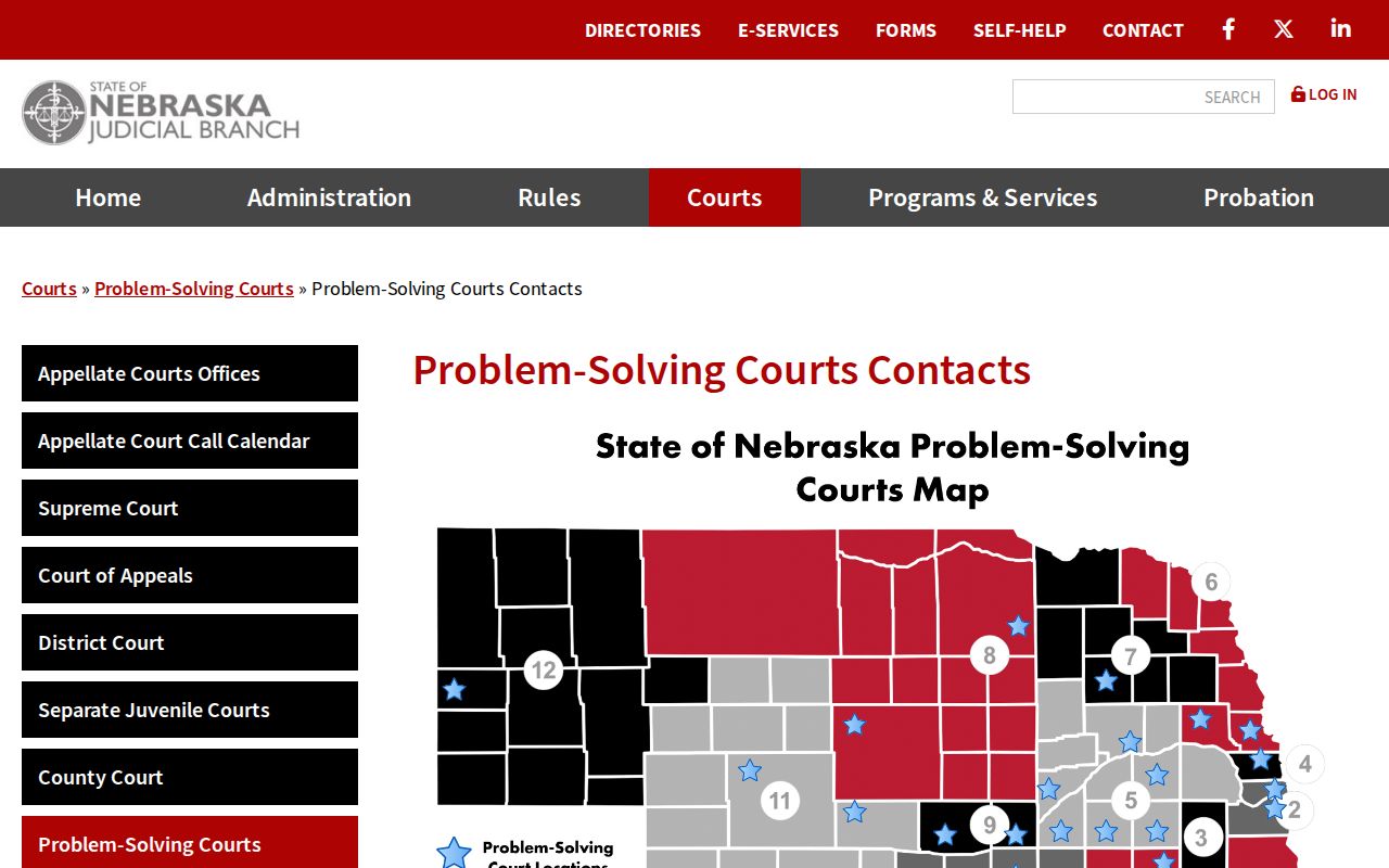 Saunders County criminal court dockets District 5 problem-solving court contacts
